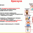 Профилактика краснухи - Красногвардейский муниципальный округ
